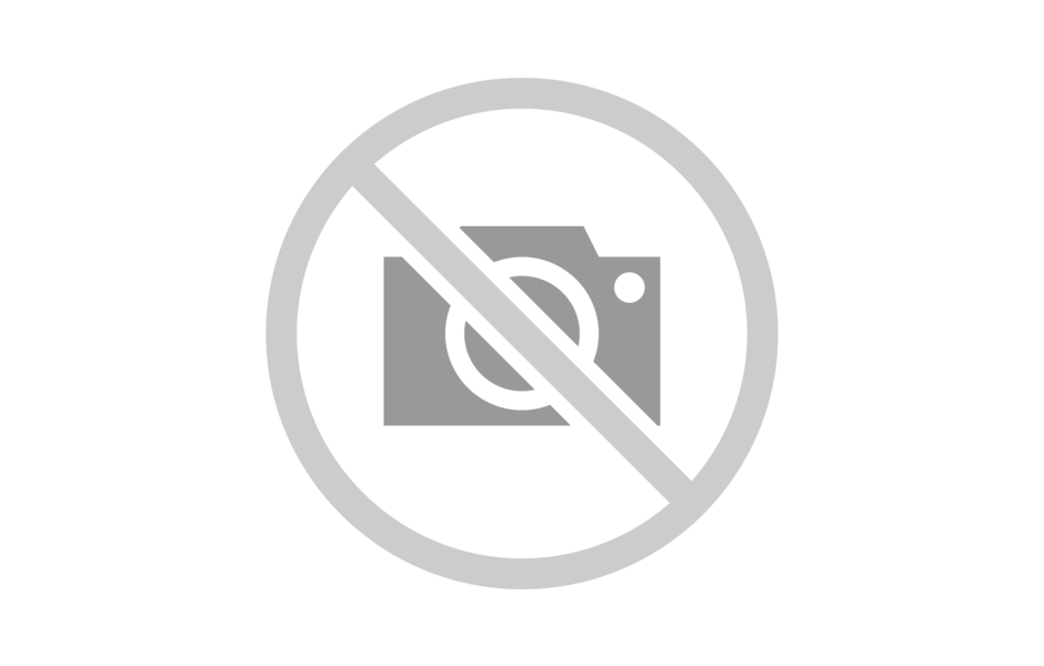 Terry Cotton Sweat Band